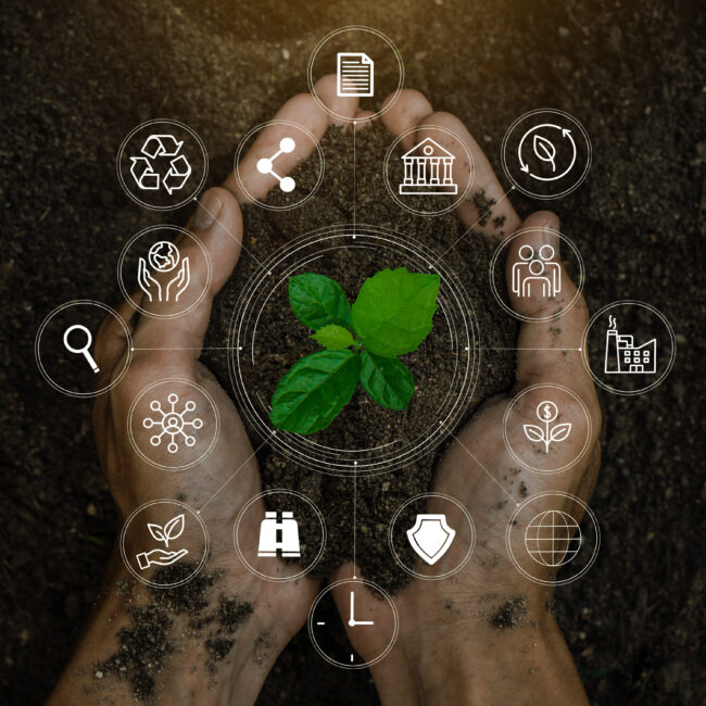 ESG icon concept in the woman hand for environmental, social, and governance by using technology of renewable resources to reduce pollution and carbon emission in sustainable and ethical business on the Network connection