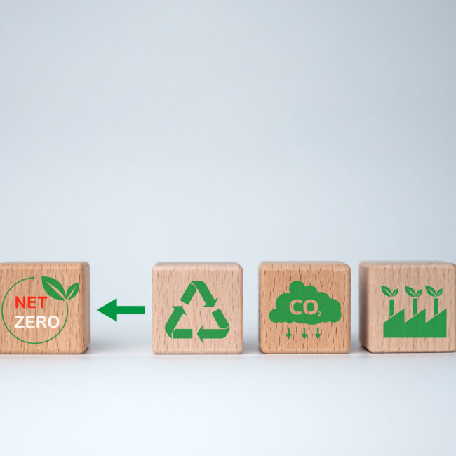 Carbon credit to limit global warming from climate change, A wooden block with the letters Net zero on it. The block is placed on top of a white background, Concept of environmental responsibility.